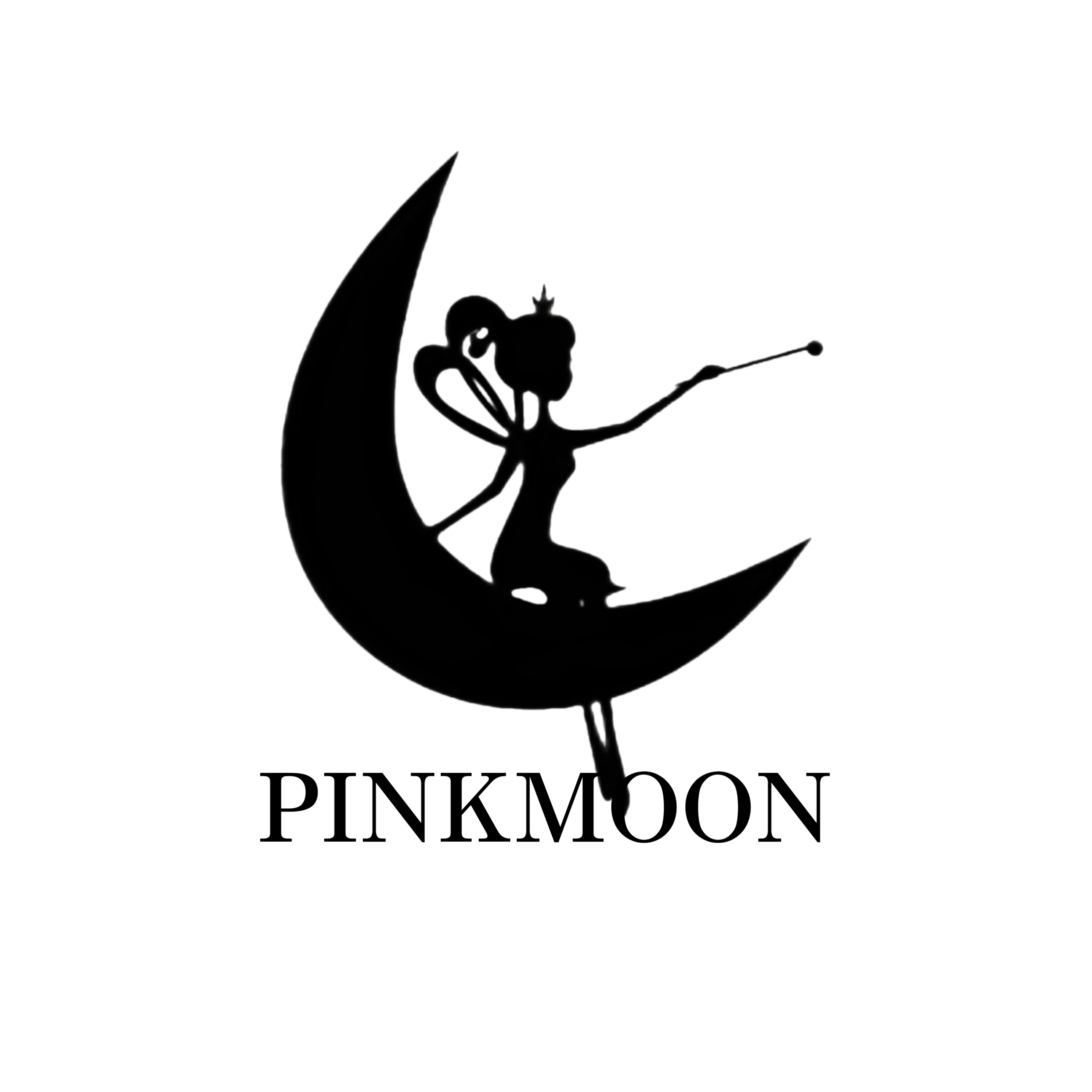 DANCE STUDIO PINKMOON